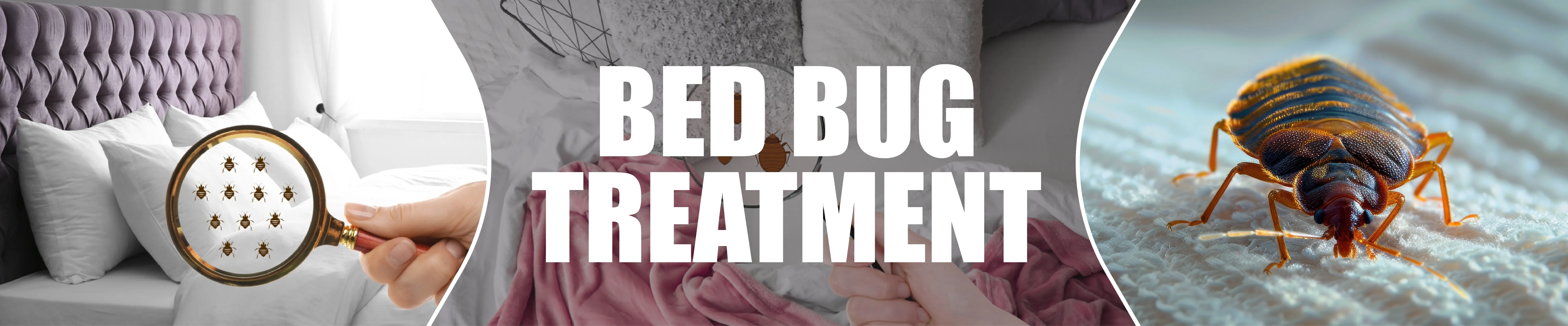 carpet cleaning in brooklyn, carpet cleaning in brooklyn, carpet cleaning brooklyn, carpet cleaners in brooklyn, carpet cleaners in brooklyn, commercial carpet cleaning, commercial carpet cleaning in brooklyn, brooklyn rug cleaners, rug cleaning services in brooklyn, same day carpet cleaning, same day rug cleaning