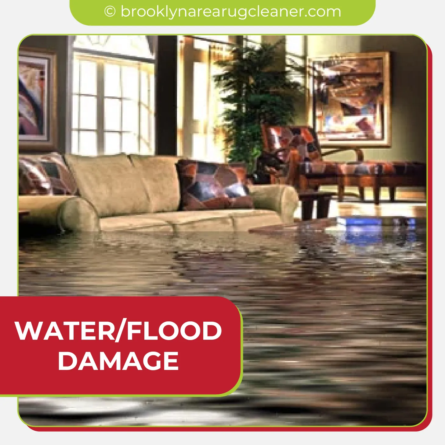 carpet cleaning in brooklyn, carpet cleaning in new york, carpet cleaning brooklyn, carpet cleaners in brooklyn, carpet cleaners in new york, commercial carpet cleaning, commercial carpet cleaning in brooklyn, brooklyn rug cleaners, rug cleaning services in brooklyn, same day carpet cleaning, same day rug cleaning